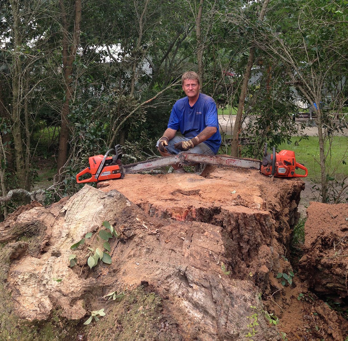 stump removal service