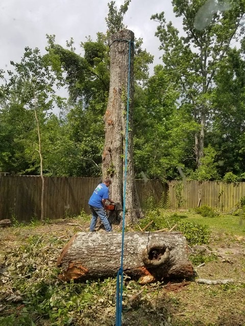 96B71BD1-3872-4F18-B682-872A8FDB7CE2