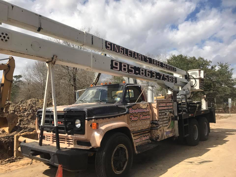 Singletary tree service licensed and insured